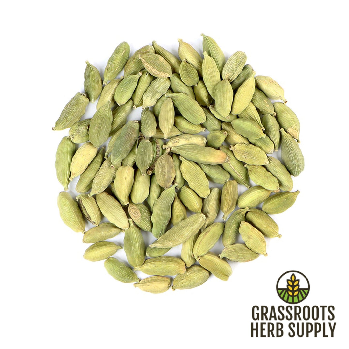 Cardamom Pods Guatemalan Green, Whole (Elettaria cardamomum)