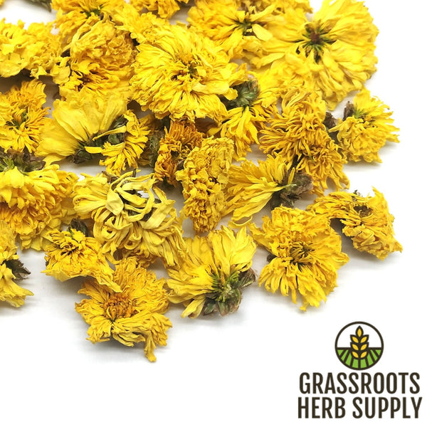 Chrysanthemum Flower Yellow, Whole (Chrysanthemum morifolium)