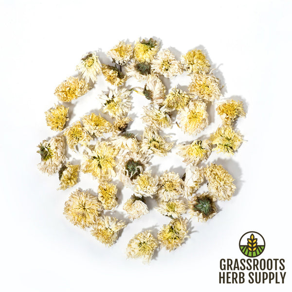 Chrysanthemum Flower White, Whole (Chrysanthemum morifolium)