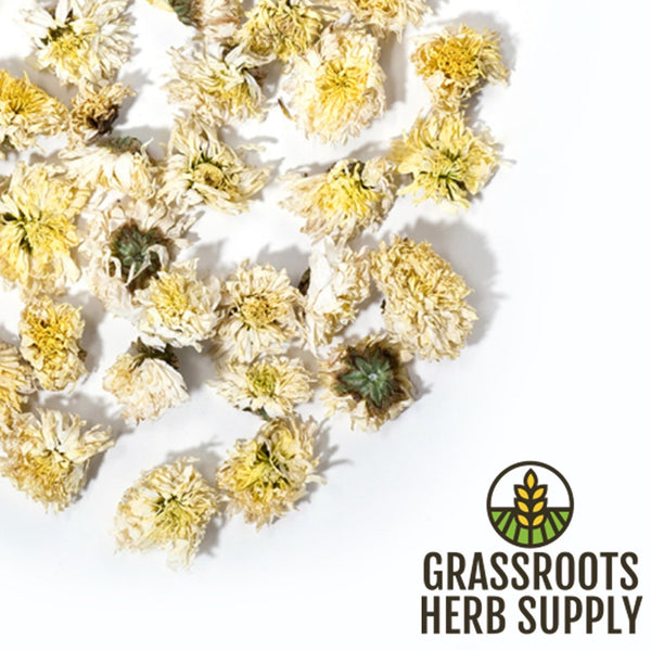 Chrysanthemum Flower White, Whole (Chrysanthemum morifolium)