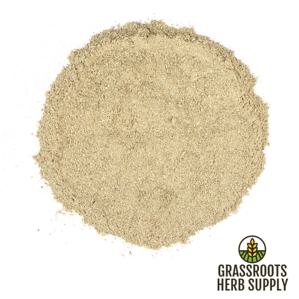 Dong Quai Root, Powder (Angelica sinensis)