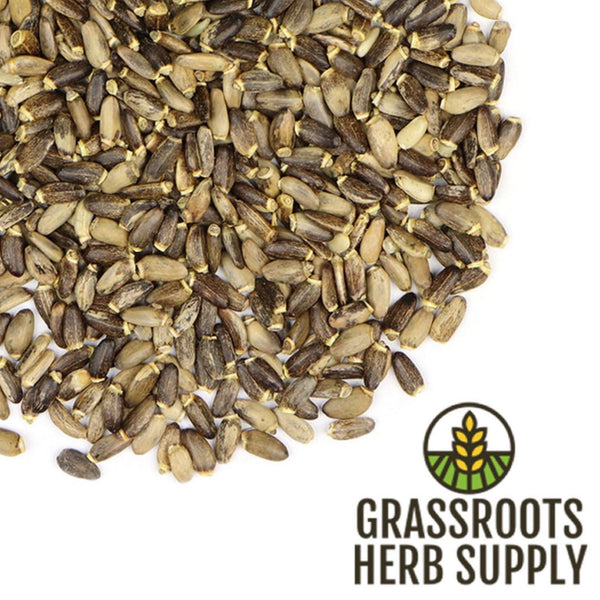 Milk Thistle Seed, Whole (Silybum marianum)
