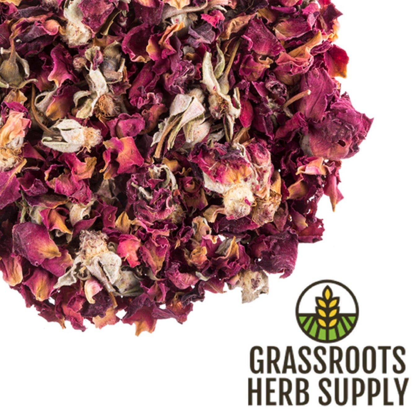 Red Rose Buds and Petals