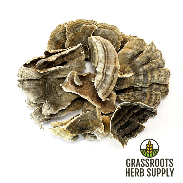 Turkey Tail Mushroom, Whole (Trametes versicolor)