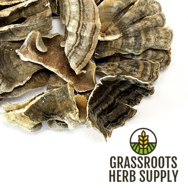 Turkey Tail Mushroom, Whole (Trametes versicolor)