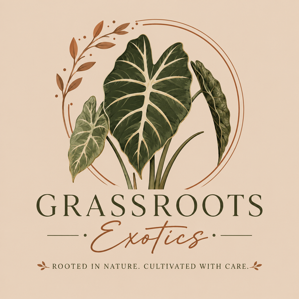 Grassroots Exotics Live Plants