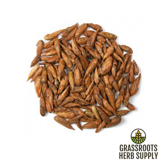 Balm of Gilead Buds, Whole