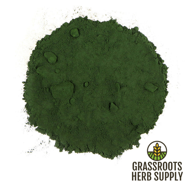 Chlorella, Powder (Auxenochlorella pyrenoidosa) | Green Algae