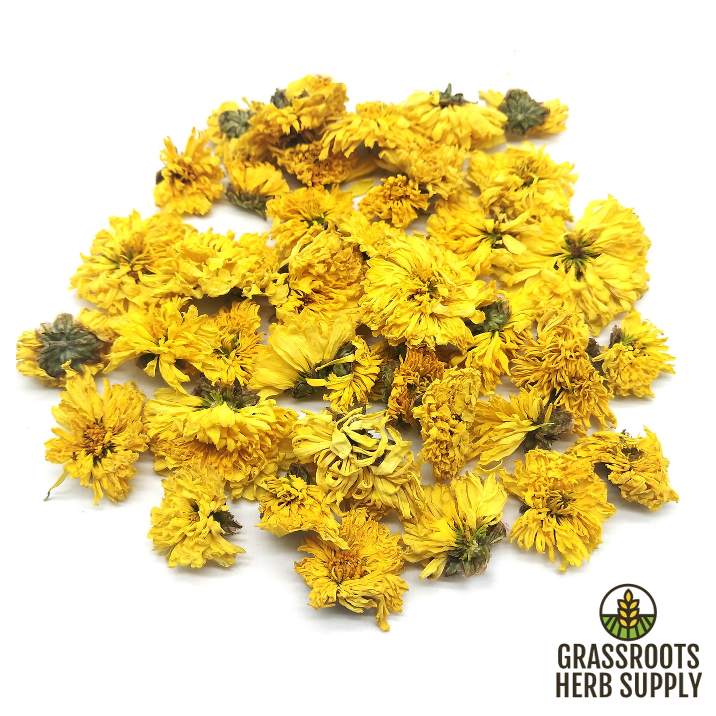 Chrysanthemum Flower Yellow, Whole