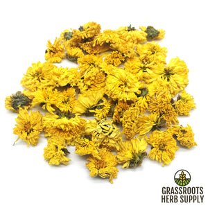 Chrysanthemum Flower Yellow, Whole (Chrysanthemum morifolium)
