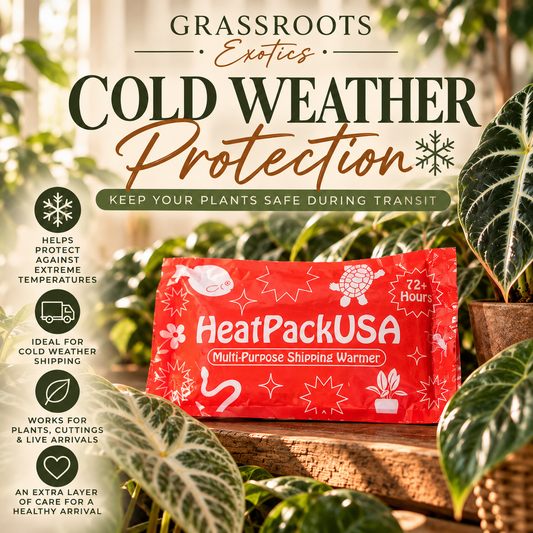 Cold Weather Protection