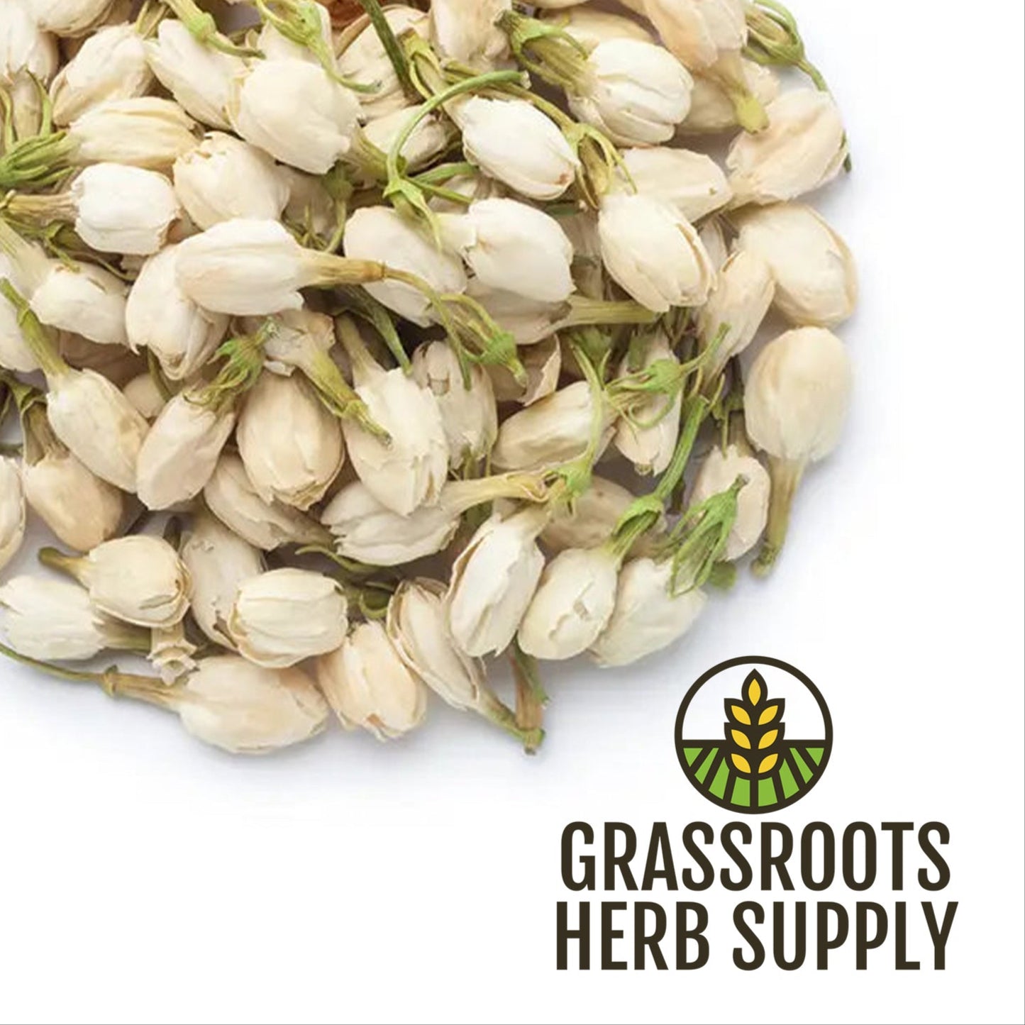 Jasmine Flowers, Whole