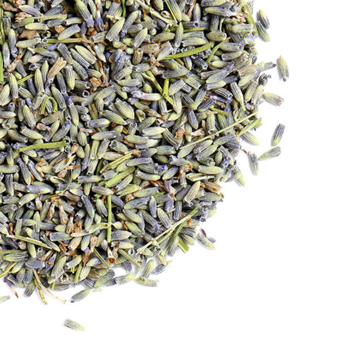 Lavender Flower, Whole