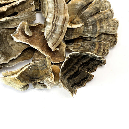 Turkey Tail Mushroom, Whole