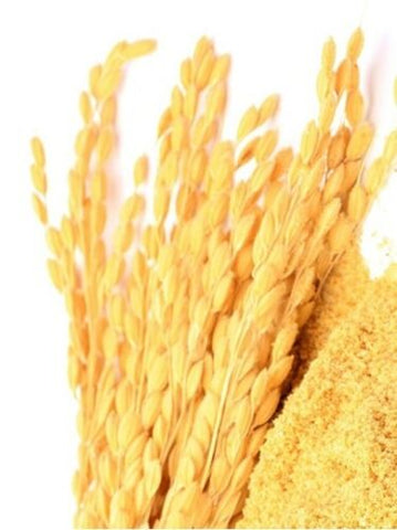 Rice Bran Oil, Food Grade (7 Pounds)
