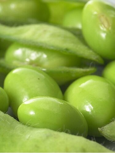 Organic Soybean Oil, Food Grade (35 Pounds)